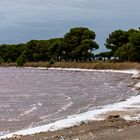 Salzpfanne in der Camargue 