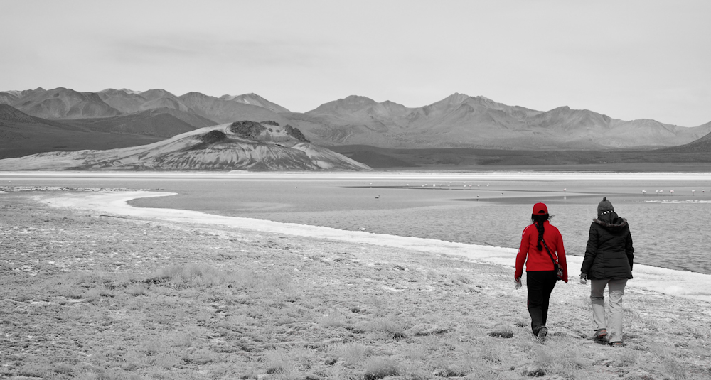 Salzsee, Atacama, Chile (2007)