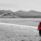 Salzsee, Atacama, Chile (2007)