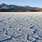 Salzsee im Altiplano