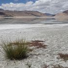 Salzsee in Chantang/ Ladakh