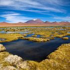 Salzsee in der Atacama