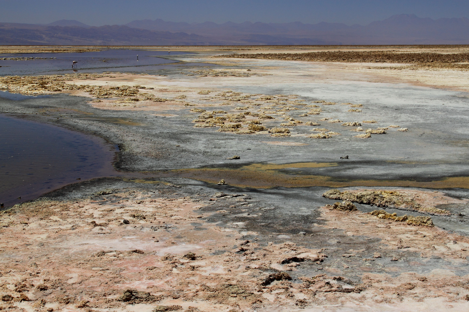Salzsee in der Atacama-Wüste