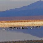 Salzsee in der Atacamawüste in Chile