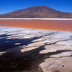 Salzsee mit Rotalgen im bolivianischen Altiplano