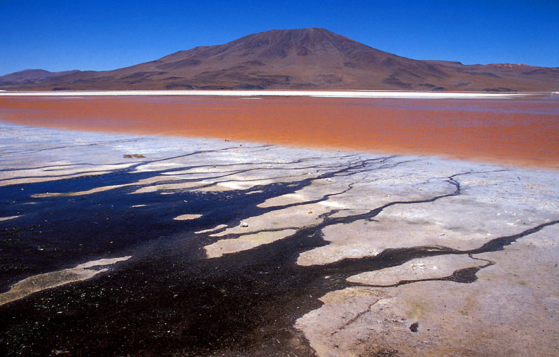 Salzsee mit Rotalgen im bolivianischen Altiplano
