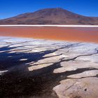 Salzsee mit Rotalgen im bolivianischen Altiplano