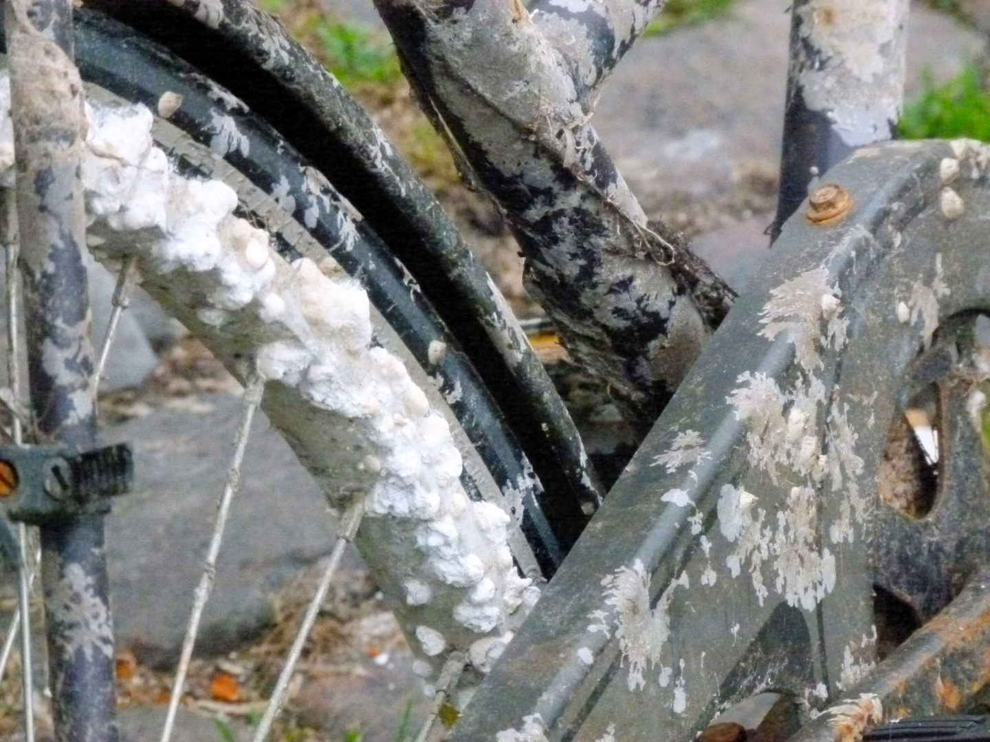 Salzwasser arbeitet...