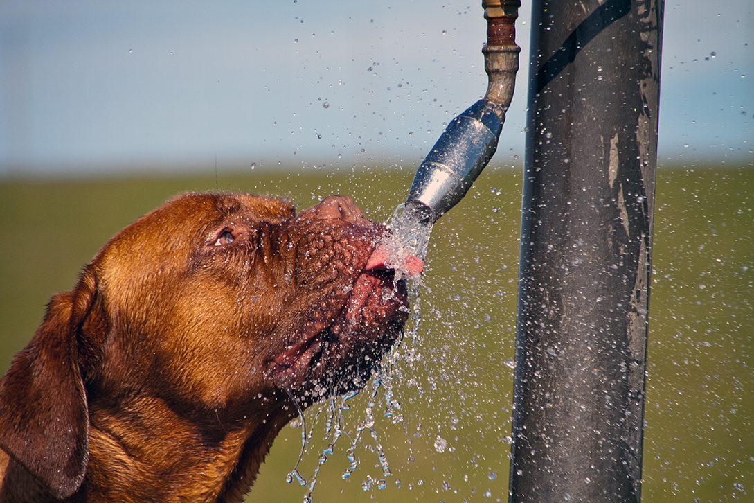 Salzwasser macht durstig...