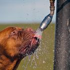 Salzwasser macht durstig...