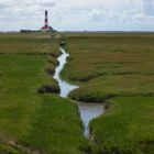 Salzwiese am Westerhever Sand