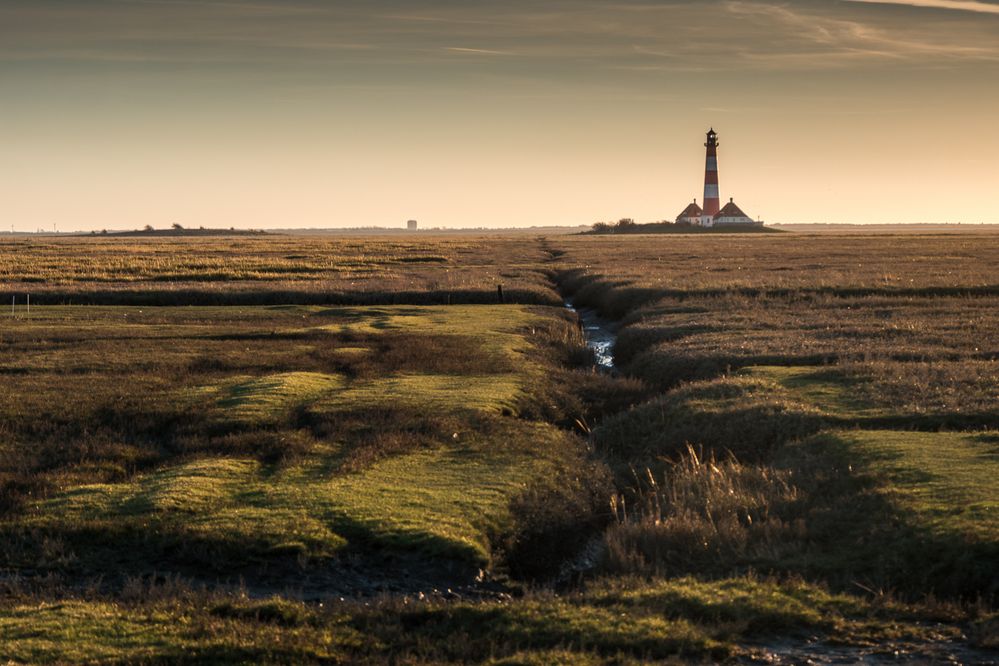 Salzwiese mit Leuchtturm