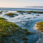 Salzwiese - und ein kleiner Beitrag zum grossen Wasser