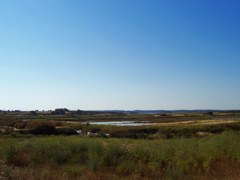 Salzwiesen am Golf von Morbihan