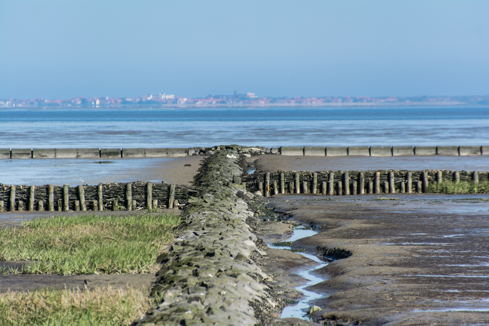 Salzwiesen bei Norddeich mit Blick auf Juist