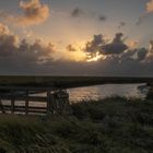 Salzwiesen bei Westerhever am Abend