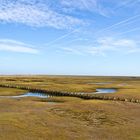 Salzwiesen bei Westerhever