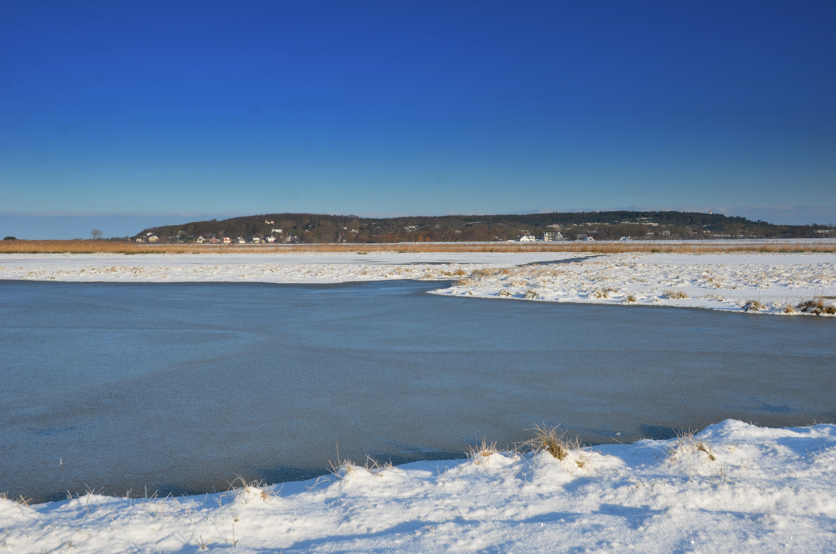 Salzwiesen Hiddensee 