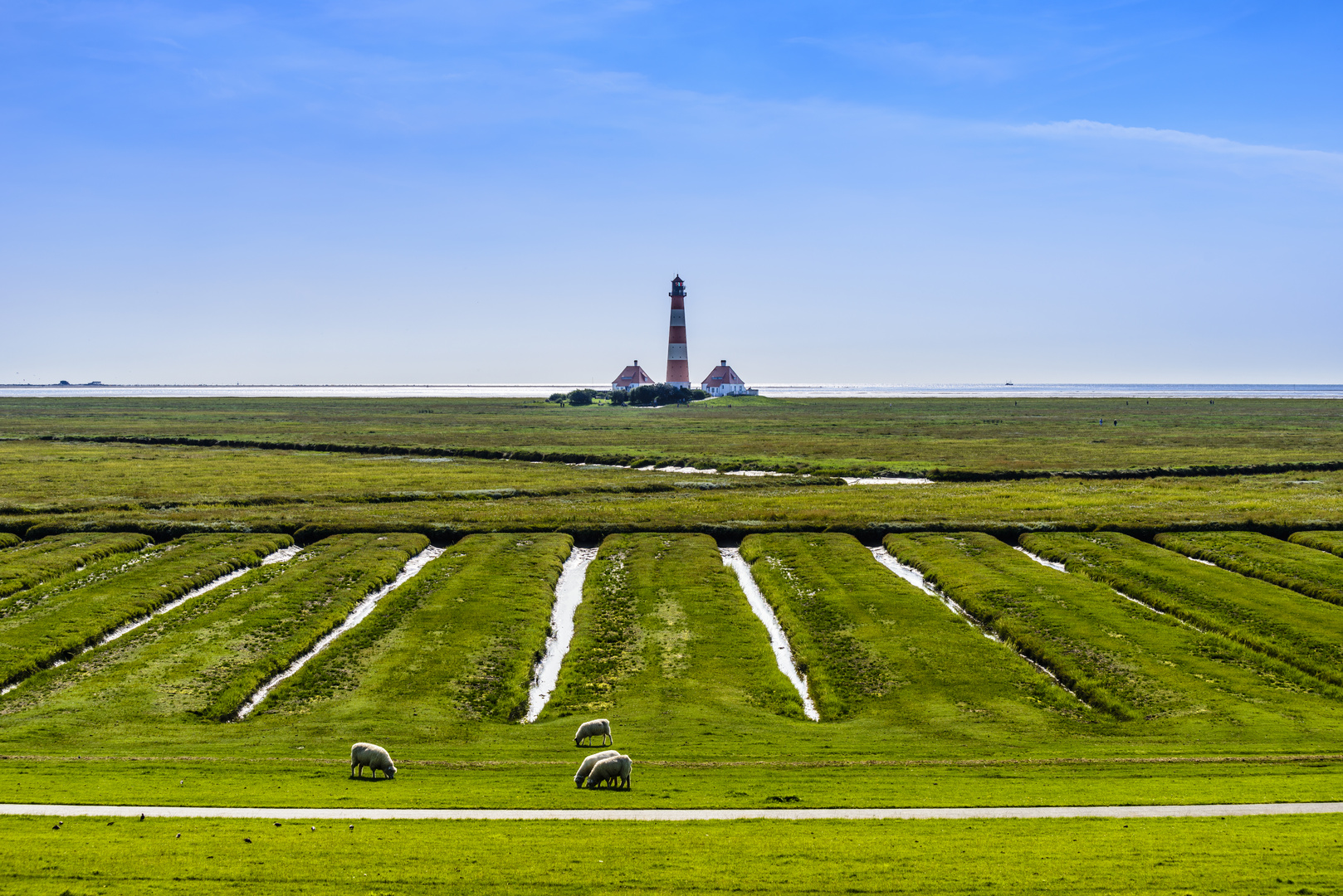 Salzwiesen mit Leuchtturm, Nordfriesland