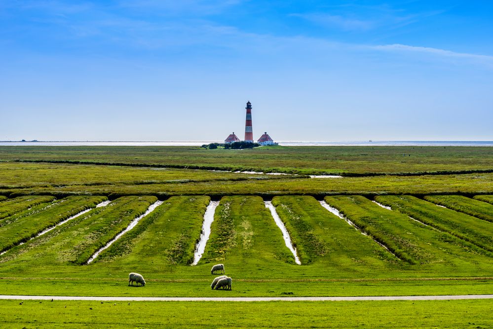 Salzwiesen mit Leuchtturm, Nordfriesland