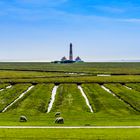 Salzwiesen mit Leuchtturm, Nordfriesland