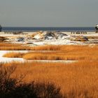 Salzwiesen & Ordinger Strand