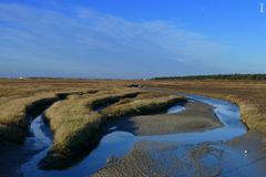 Salzwiesen St. Peter Ording