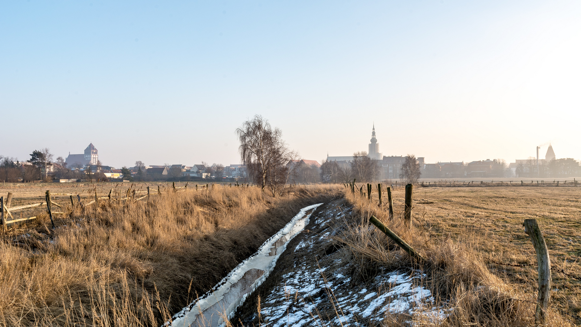 Salzwiesen vor Greifswald