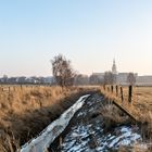 Salzwiesen vor Greifswald