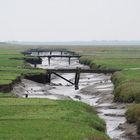 Salzwiesen/Westerhever