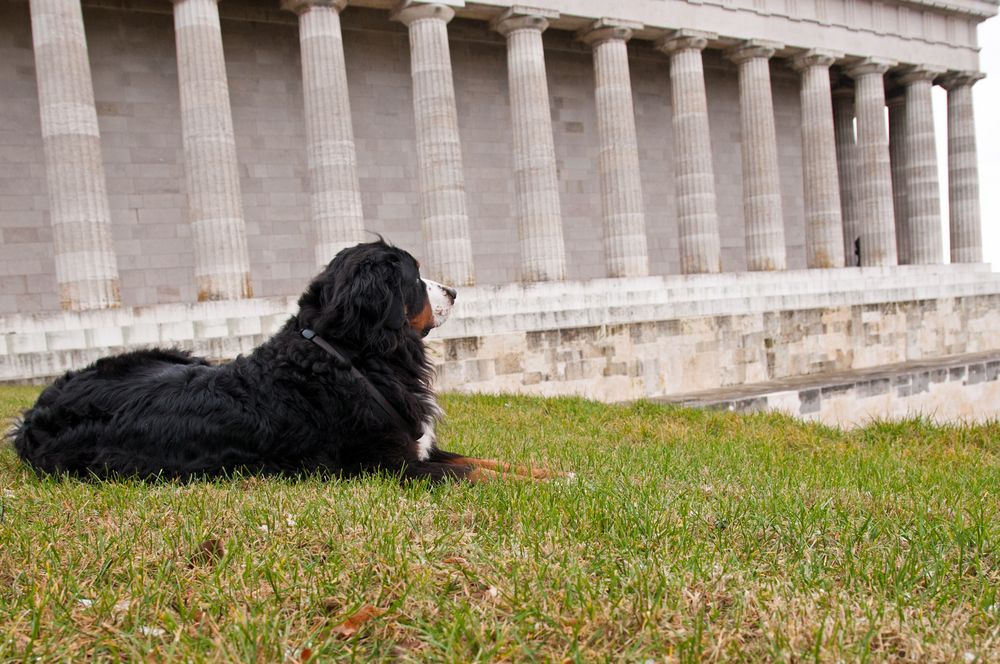 Sam an der Walhalla