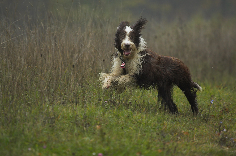 Sam beim Sport