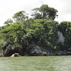 Samana