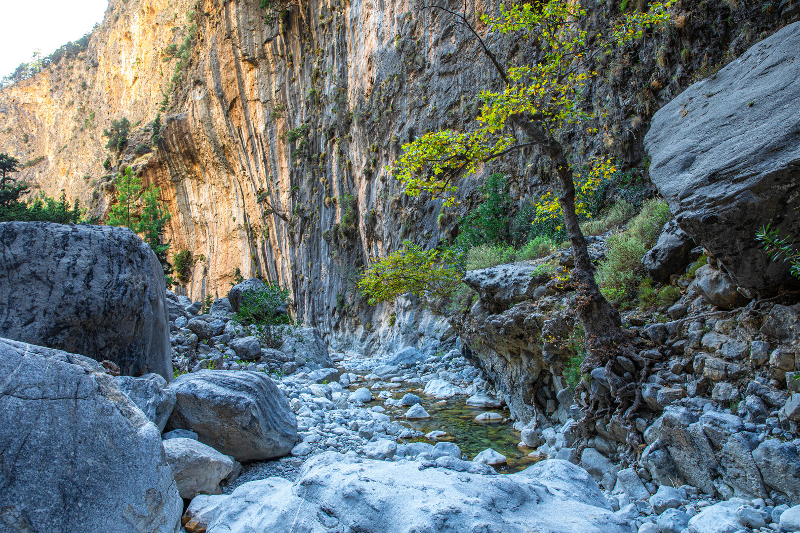 Samaria, Kreta