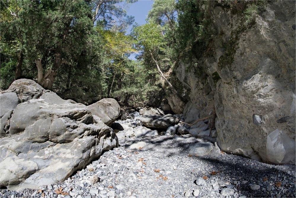 Samaria Schlucht, Kreta ( 500 Meter NN )