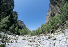 Samaria-Schlucht Kreta ( 900 Meter NN )
