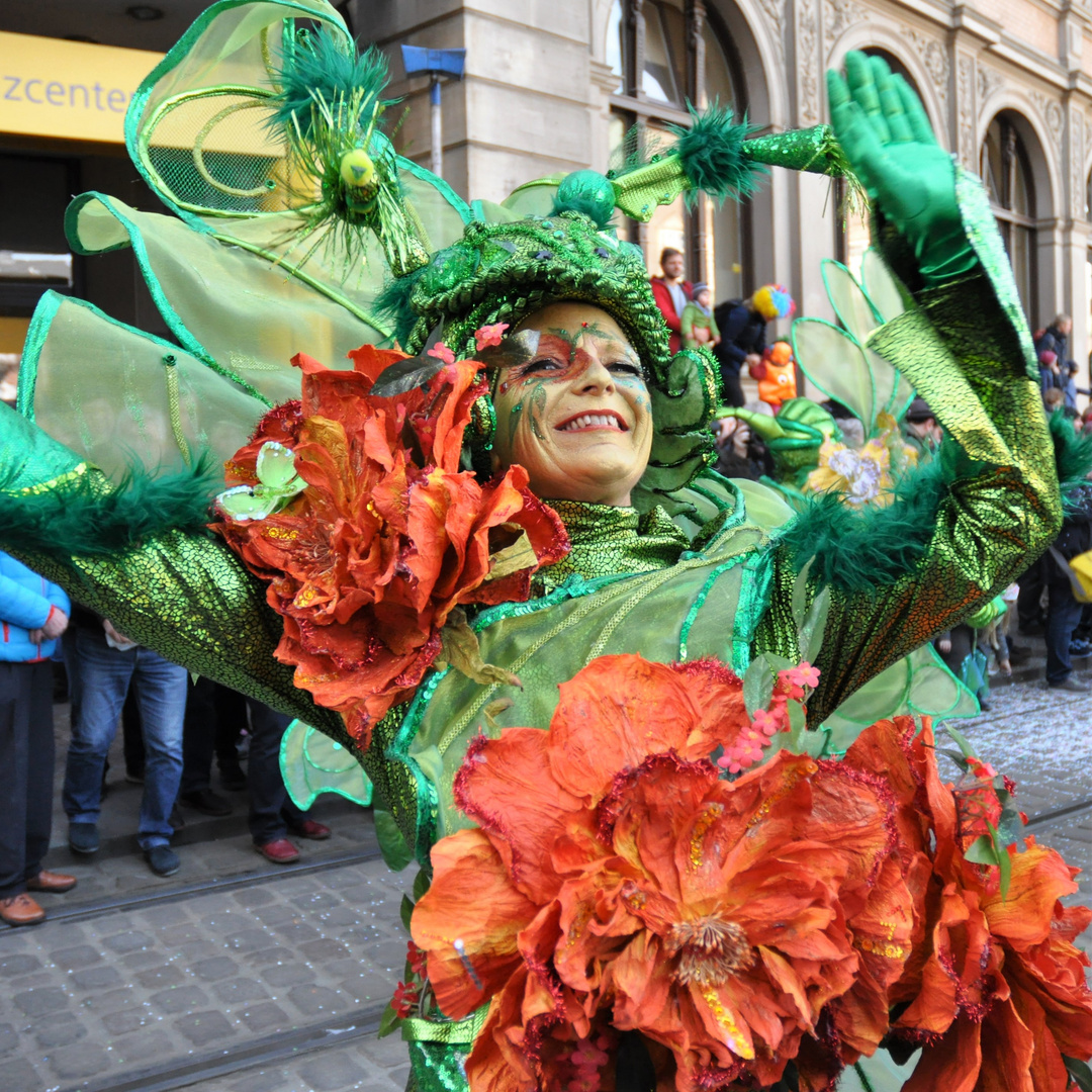 Samba Carneval Bremen 2019