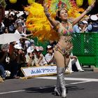 Samba in Japan 33