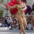 Samba in Japan 42