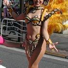 Samba in Japan 8