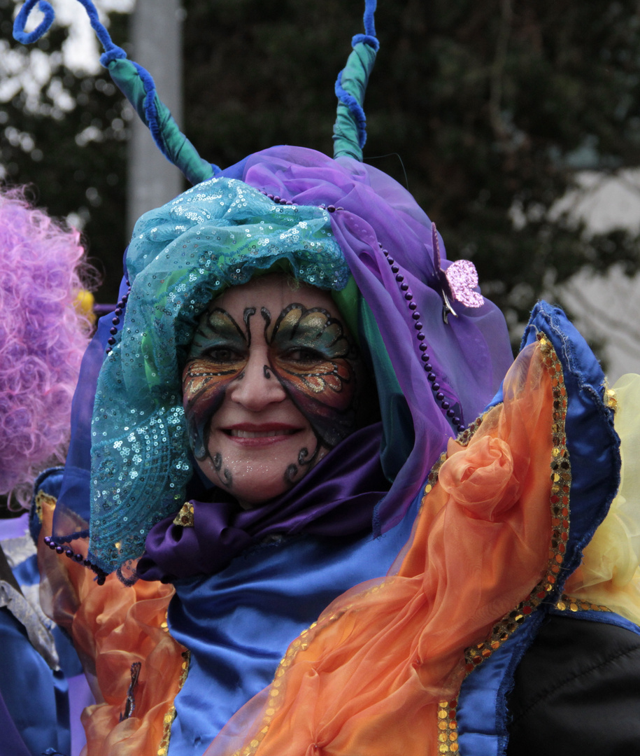 Samba-Karneval Bremen 2012