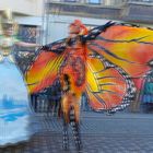 Samba Karneval Bremen (für 3D Polfilter Monitor/TV)