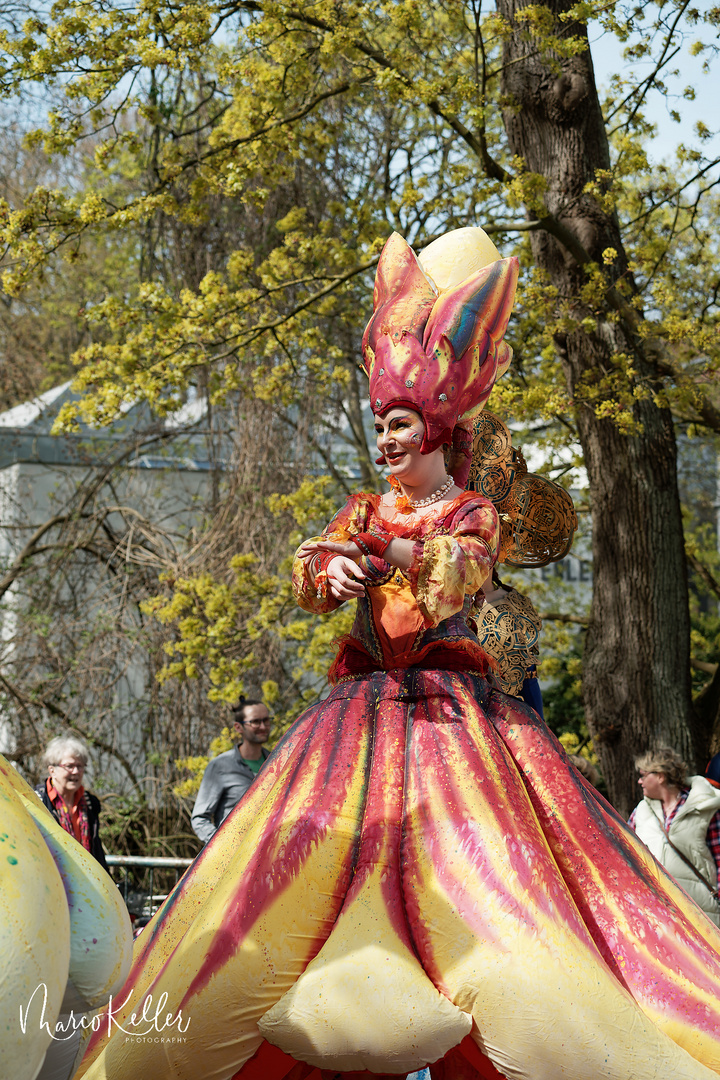 Samba Karneval in Bremen