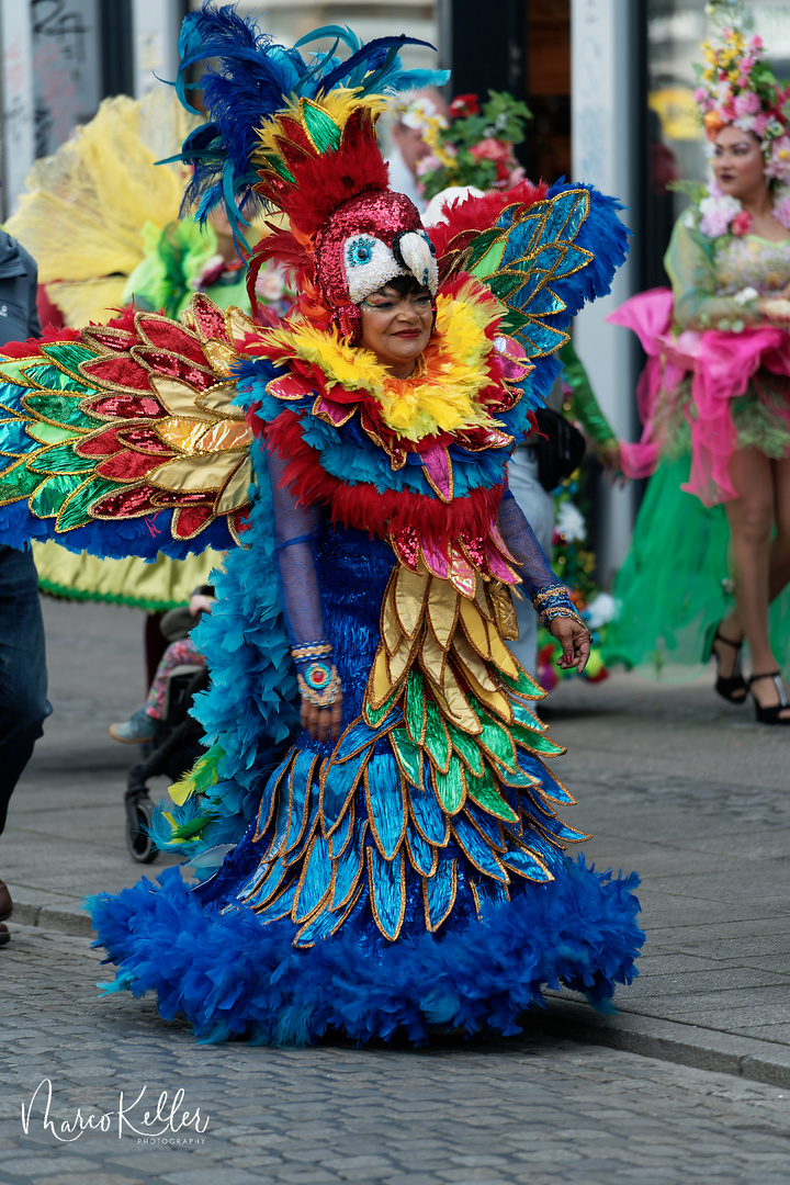 Samba Karneval in Bremen