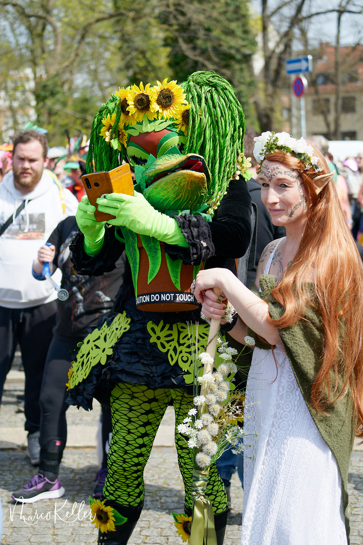 Samba Karneval in Bremen