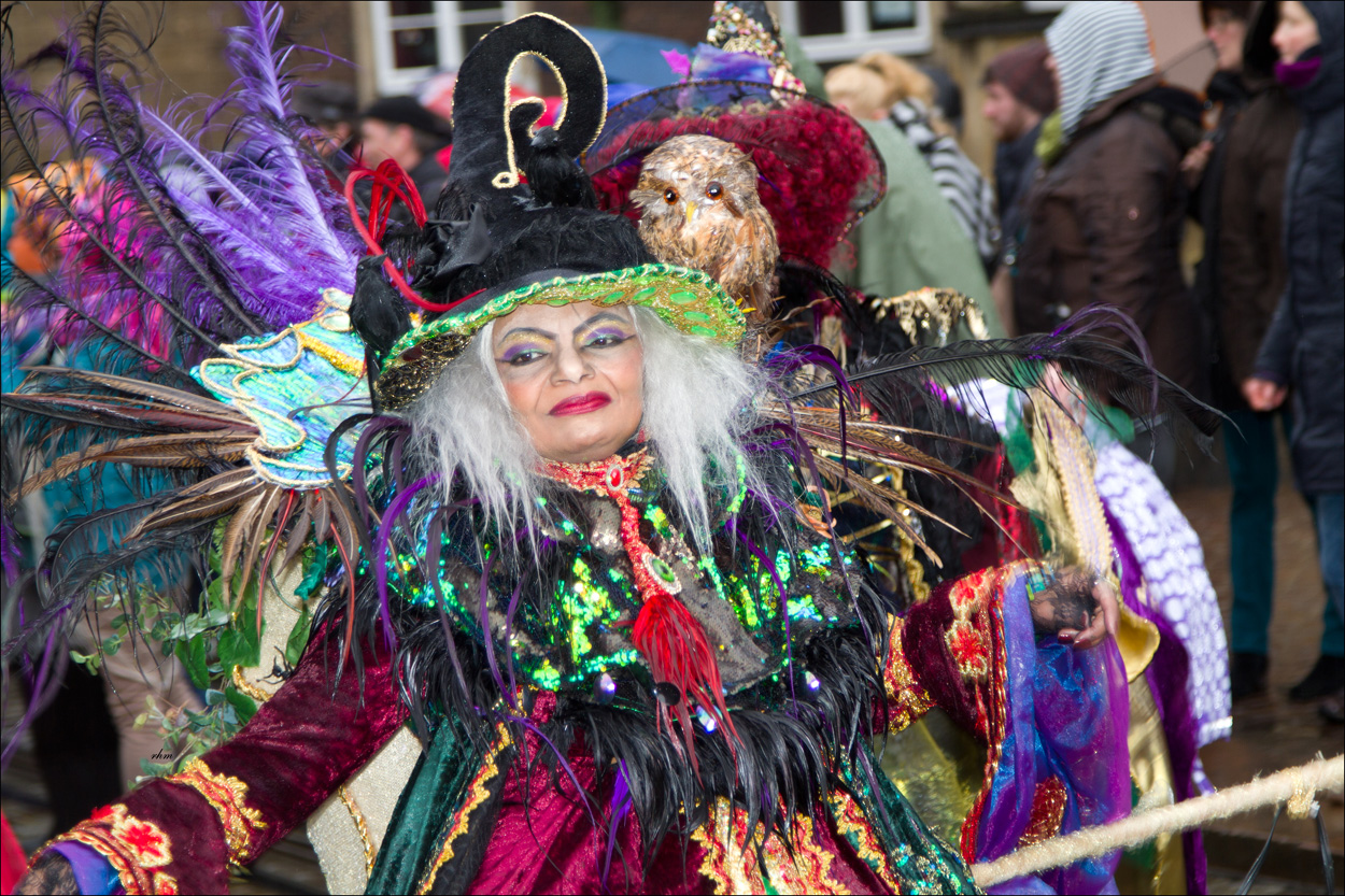 Sambakarneval in Bremen 2016 I