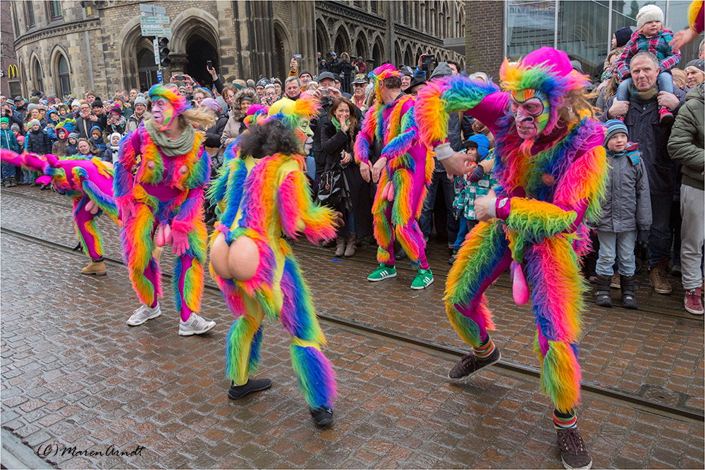 Sambazirkus in Bremen