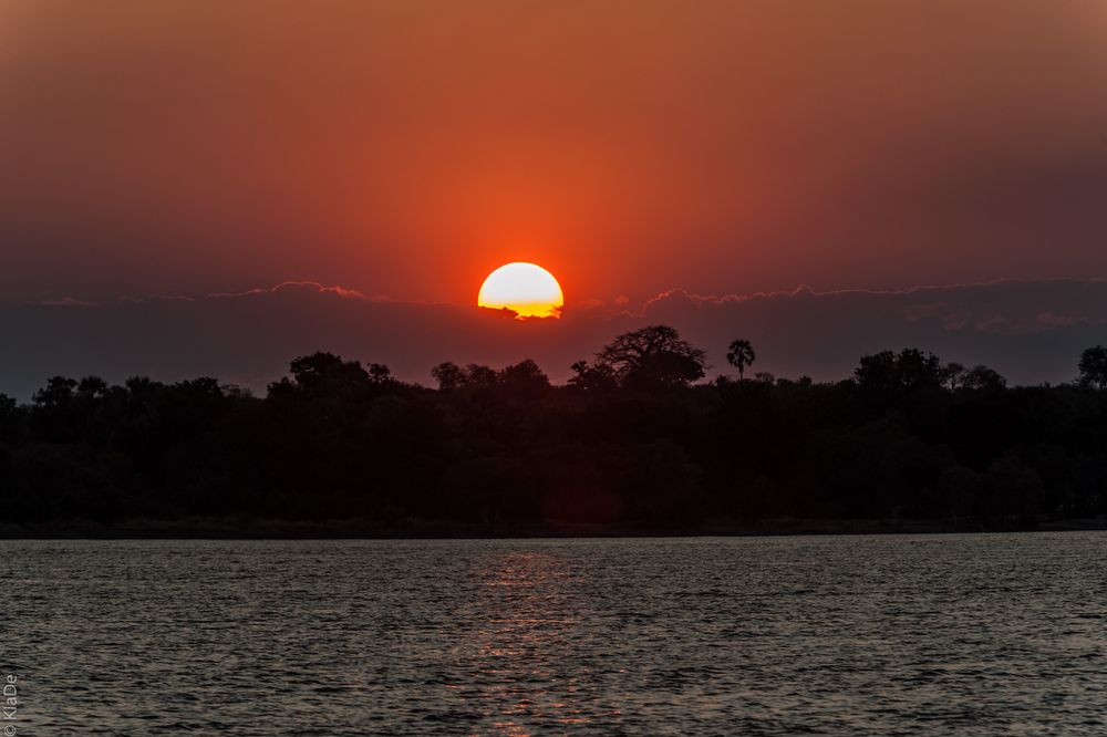 Sambesi Sunset