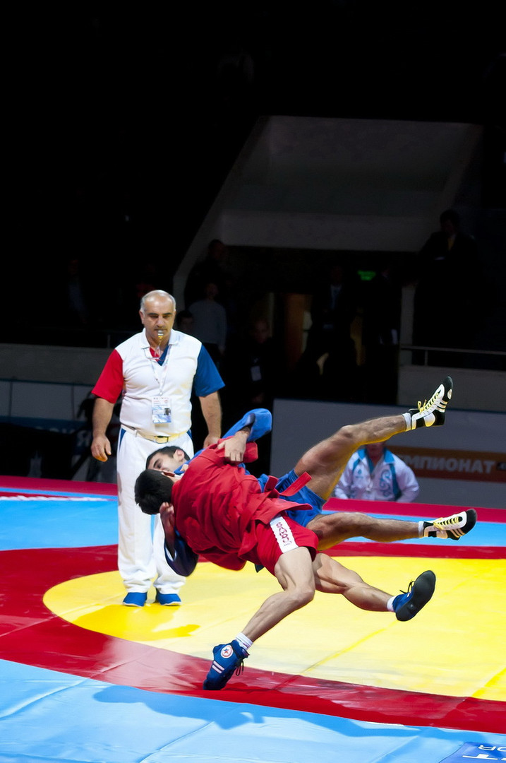 Sambo wrestling