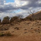 *** Samburu National Reserve ***